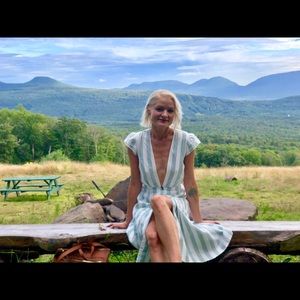 Reformation Bayu Dress XS deep plunge linen